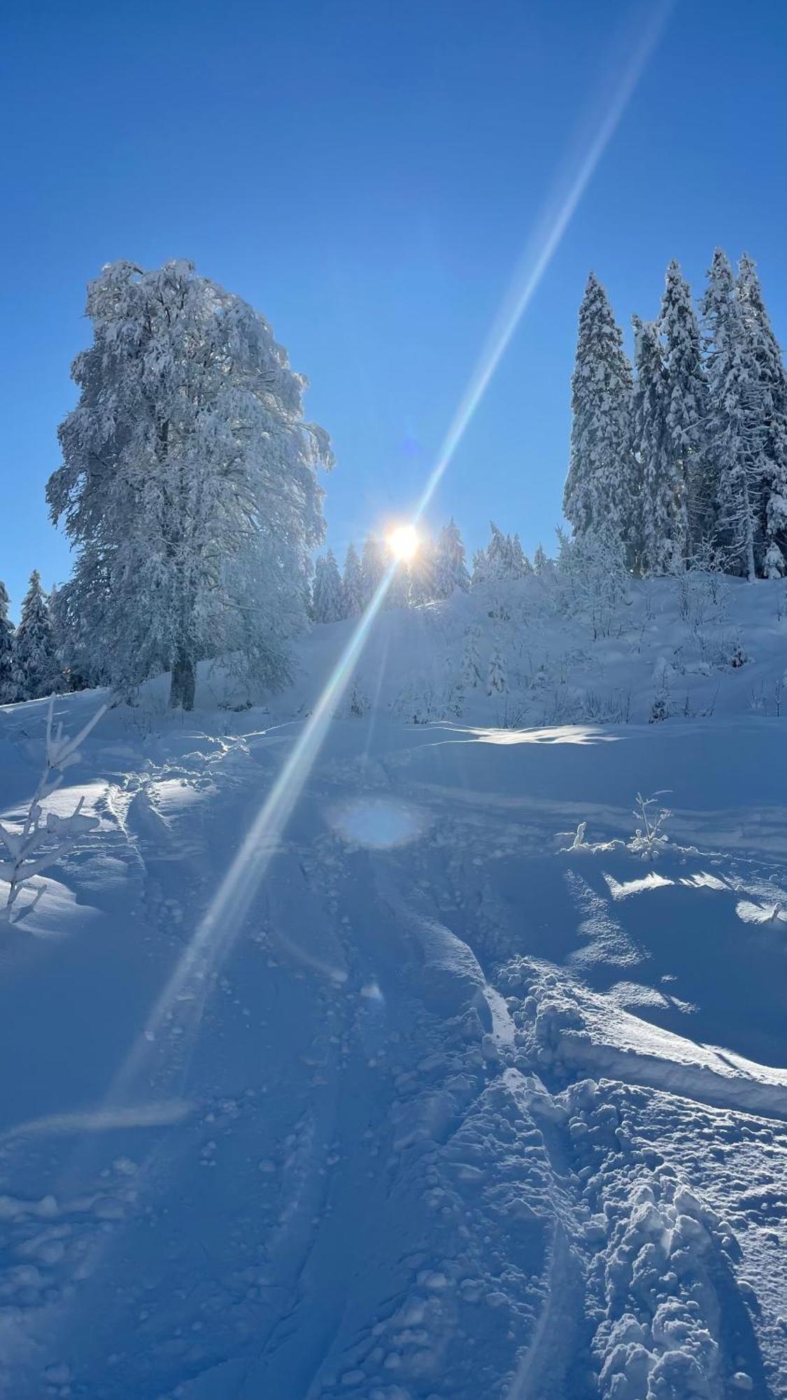 Kleineauszeit3, Feldberg, Direkt An Skipiste, Mit Sauna Apartment *