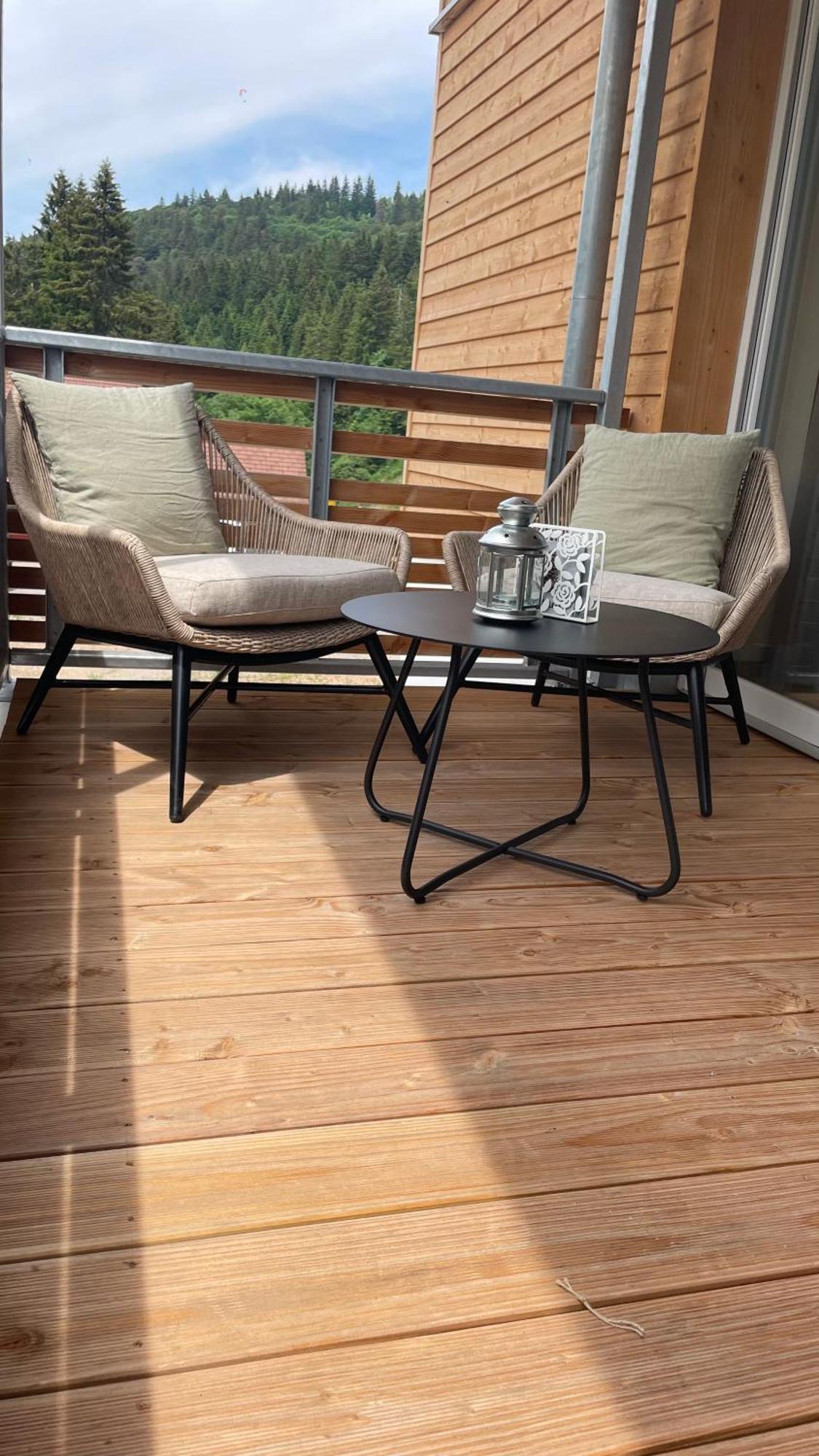 Apartment Kleineauszeit3, Feldberg, Direkt An Skipiste, Mit Sauna *